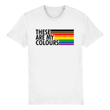 Load image into Gallery viewer, Inclusive Gay Pride T Shirt | Rainbow &amp; Co