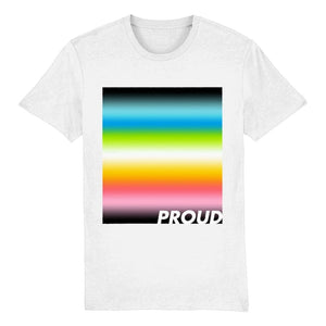 Queer Pride T Shirt | Queer Flag Shirt | Rainbow & Co