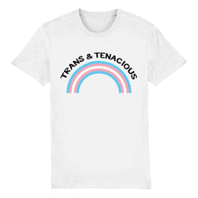 Load image into Gallery viewer, Trans Pride Shirt | Trans &amp; Tenacious T Shirt | Rainbow &amp; Co