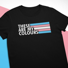 Load image into Gallery viewer, Trans Flag Pride Shirt | Rainbow &amp; Co