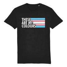 Load image into Gallery viewer, Transgender Flag Shirt | Rainbow &amp; Co