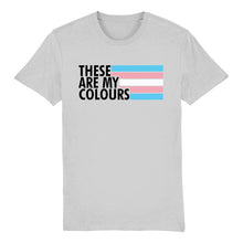 Load image into Gallery viewer, Trans Pride Flag T Shirt | Rainbow &amp; Co