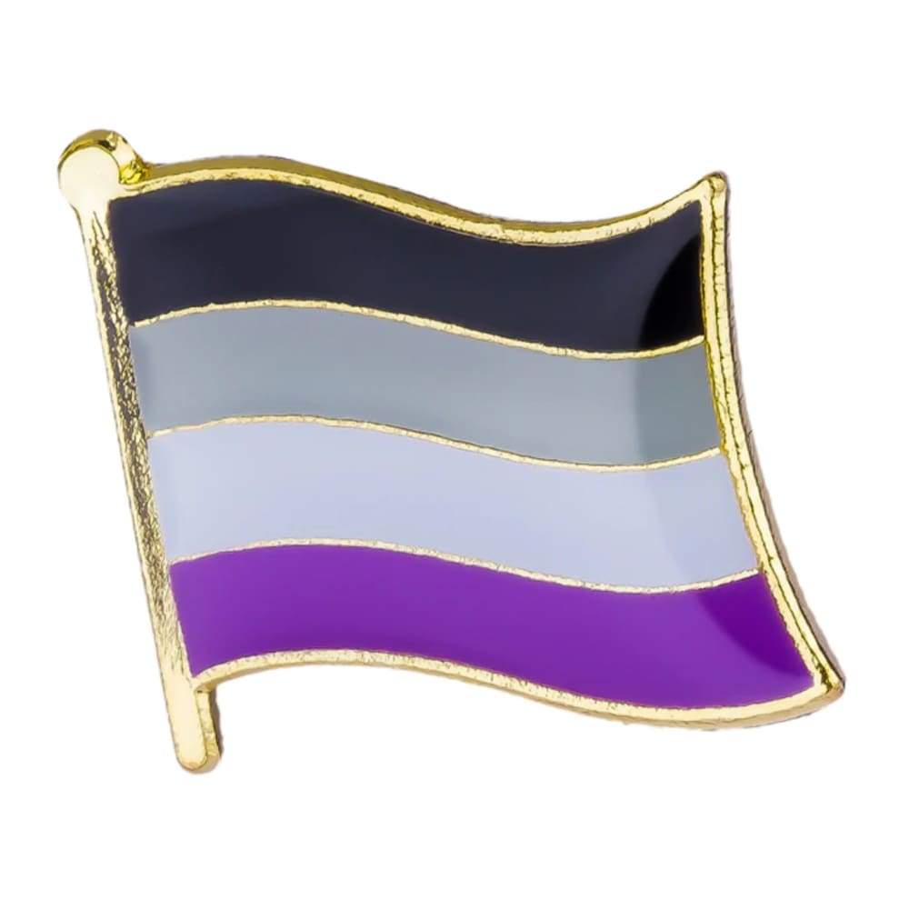 Asexual Flag Pin | Rainbow & Co