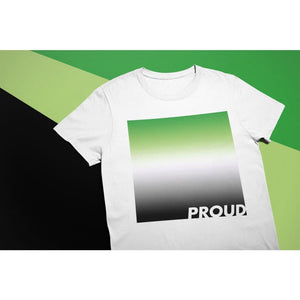 Proud Aromantic T Shirt | Rainbow & Co